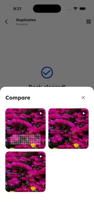Swipe44 — Duplicate groups